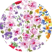color swatch between-blooms